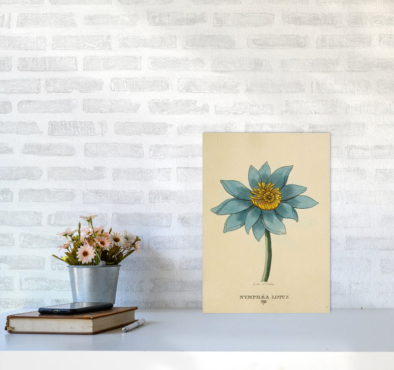 Vintage Lotus Flower Art Print by Jason Stanley A3 Black Frame