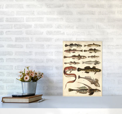 Creatures Of The Sea Art Print by Jason Stanley A3 Black Frame