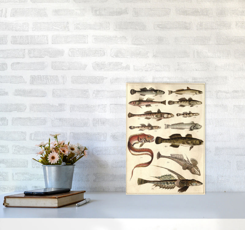 Creatures Of The Sea Art Print by Jason Stanley A3 Black Frame