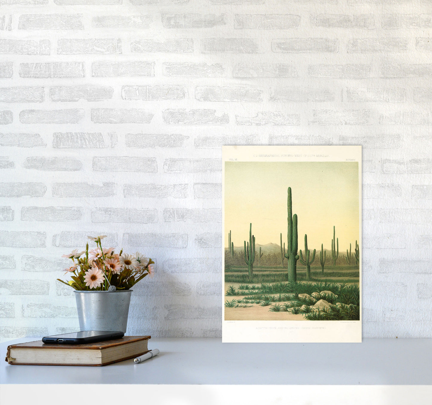 Vintage Desert Cactus Art Print by Jason Stanley A3 Black Frame