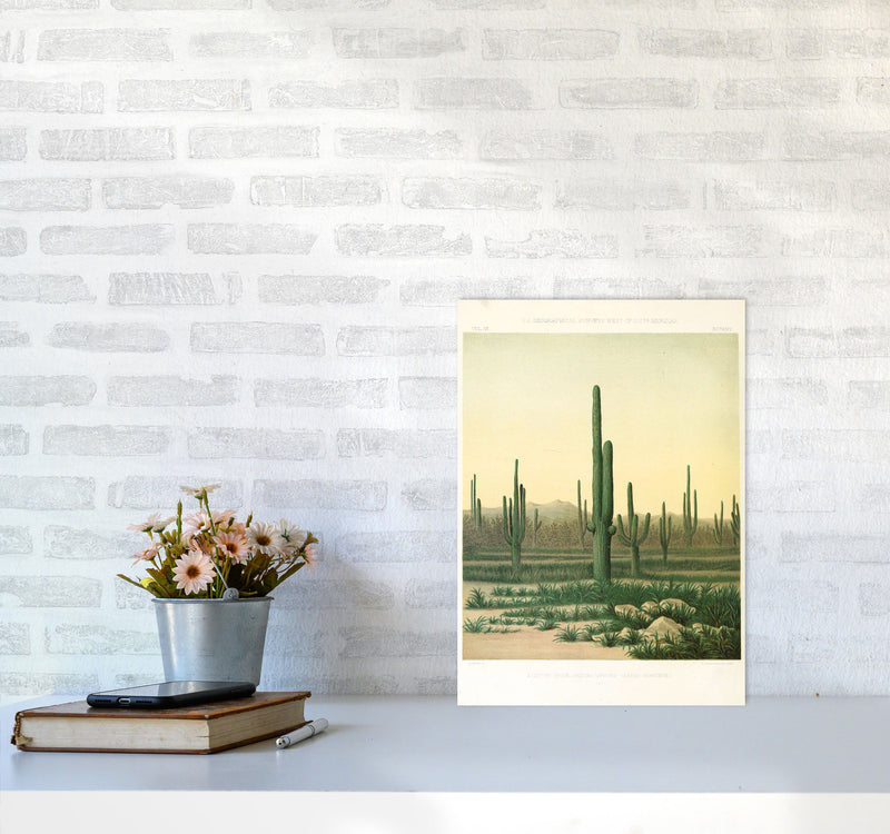 Vintage Desert Cactus Art Print by Jason Stanley A3 Black Frame