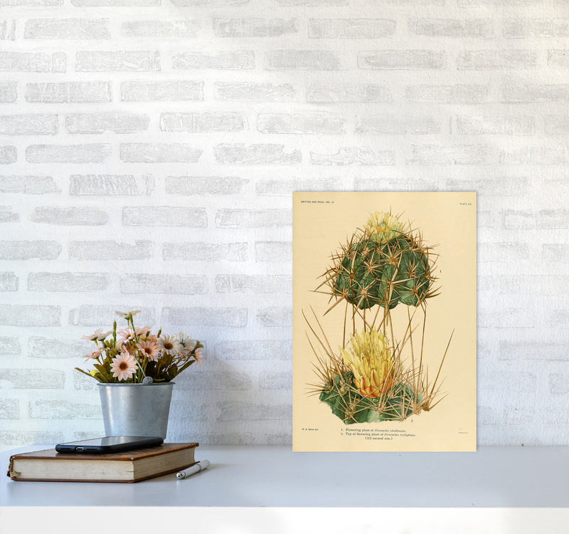 Cactus Series 10 Art Print by Jason Stanley A3 Black Frame