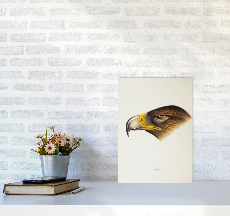 Vintage Eagle Face Art Print by Jason Stanley A3 Black Frame