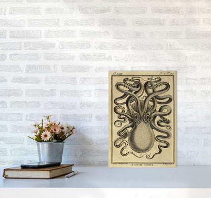 Vintage Octopus 2 Art Print by Jason Stanley A3 Black Frame