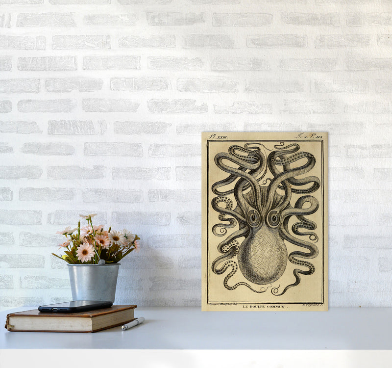 Vintage Octopus 2 Art Print by Jason Stanley A3 Black Frame