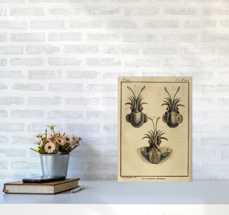 Vintage Squid 3 Art Print by Jason Stanley A3 Black Frame