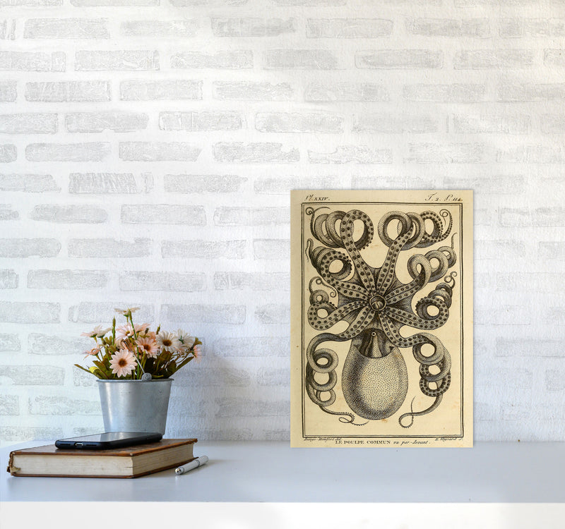 Vintage Octopus Art Print by Jason Stanley A3 Black Frame