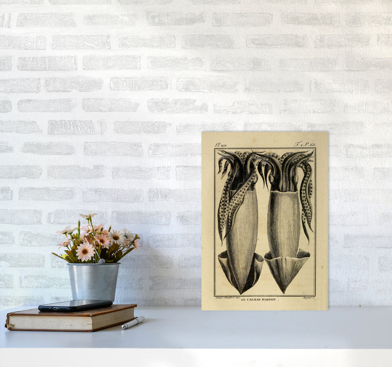 Vintage Squid 5 Art Print by Jason Stanley A3 Black Frame