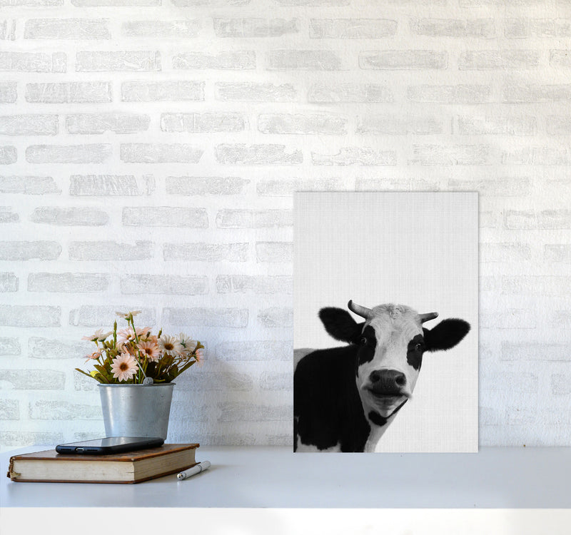 Holy Cow Art Print by Jason Stanley A3 Black Frame