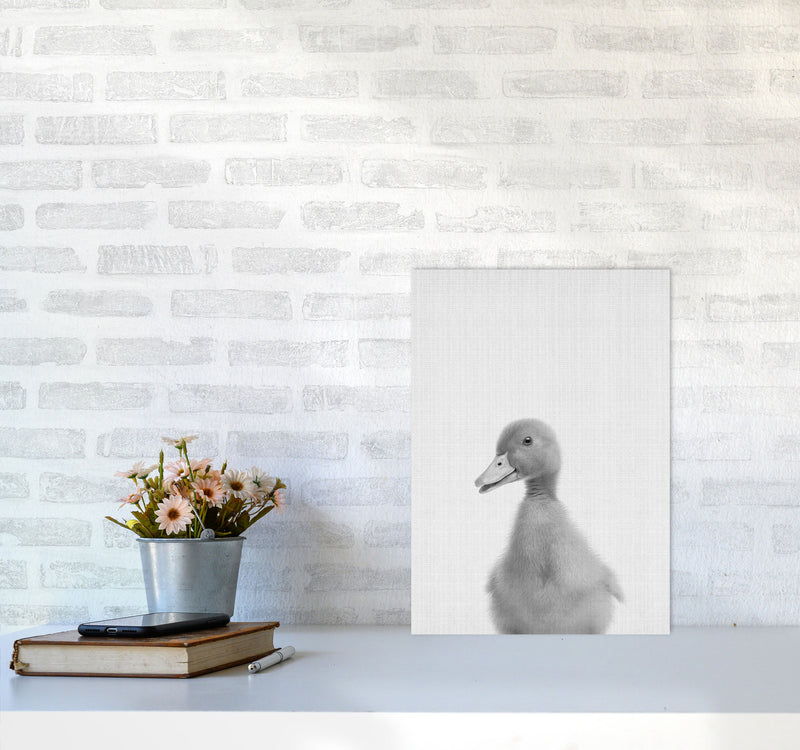 Curious Duck Art Print by Jason Stanley A3 Black Frame