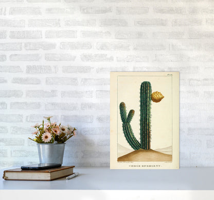Vintage Cactus Art Print by Jason Stanley A3 Black Frame