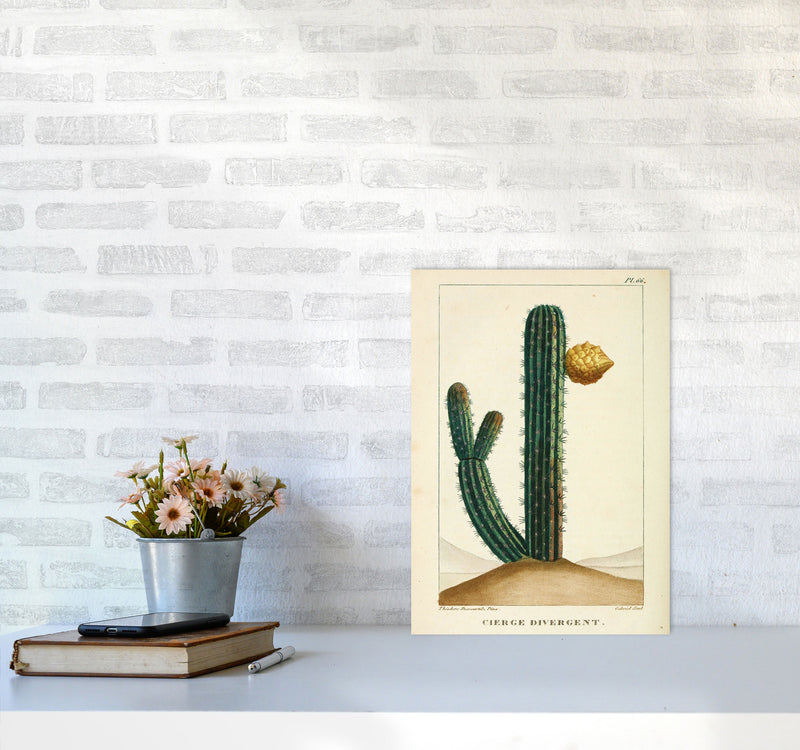 Vintage Cactus Art Print by Jason Stanley A3 Black Frame