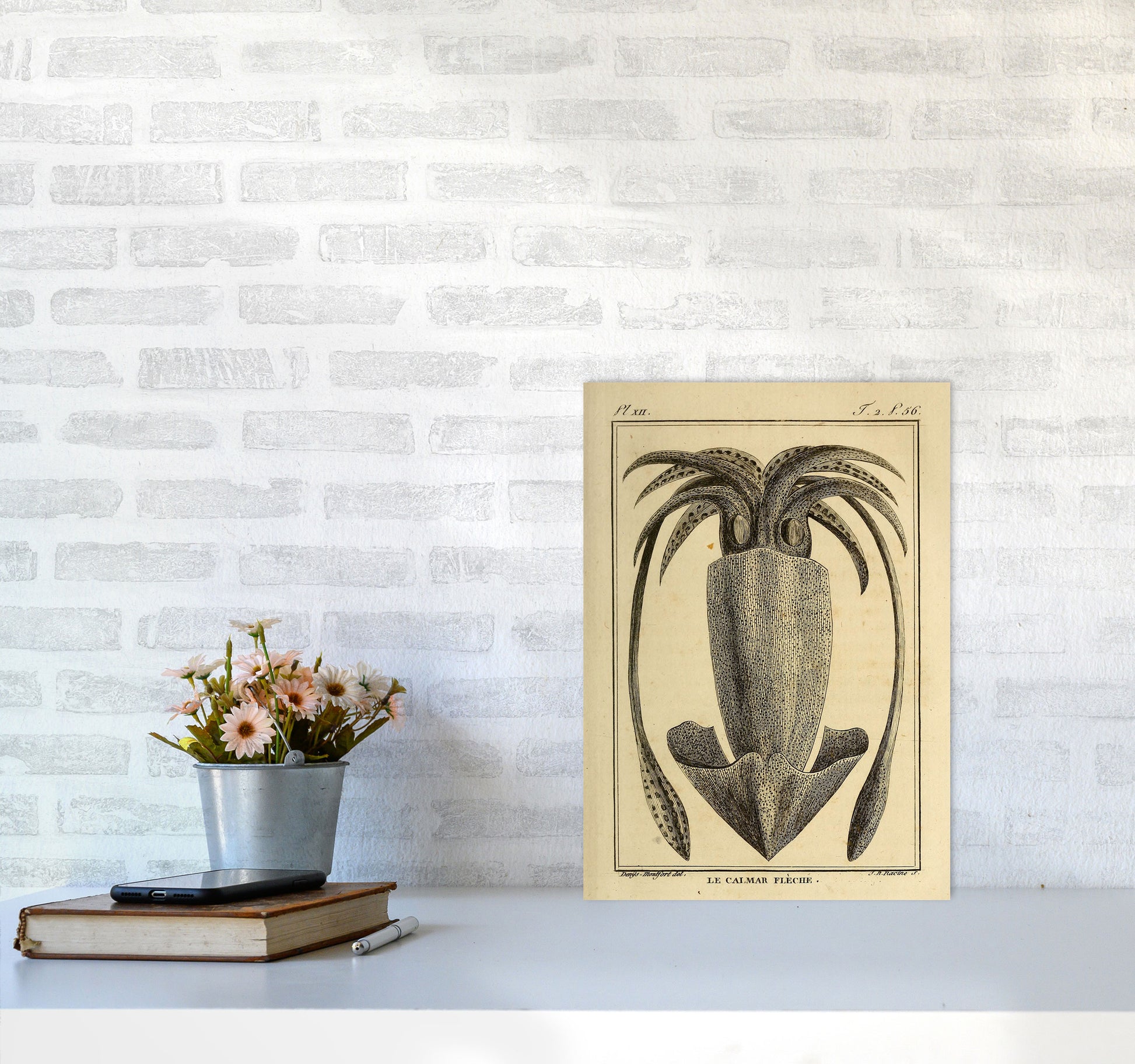 Vintage Squid 2 Art Print by Jason Stanley A3 Black Frame