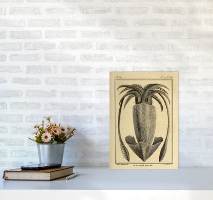 Vintage Squid 2 Art Print by Jason Stanley A3 Black Frame