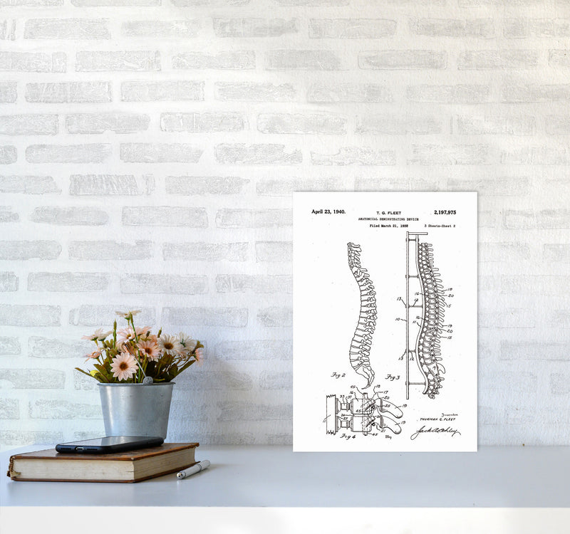 Anatomical Spine Display Patent Art Print by Jason Stanley A3 Black Frame