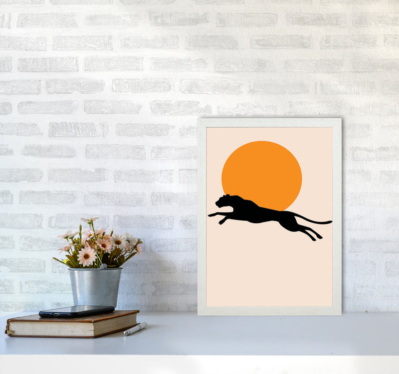 Leaping Leopard Sun Poster Art Print by Jason Stanley A3 Oak Frame