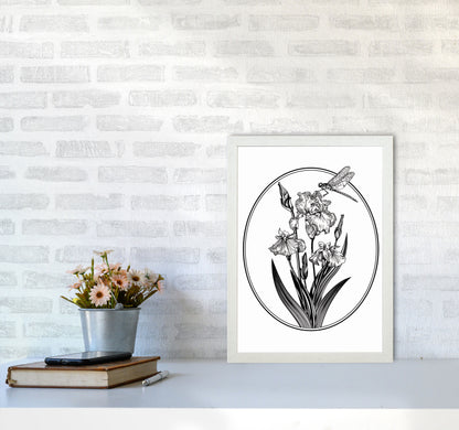 Vintage Beautiful Flower Art Print by Jason Stanley A3 Oak Frame