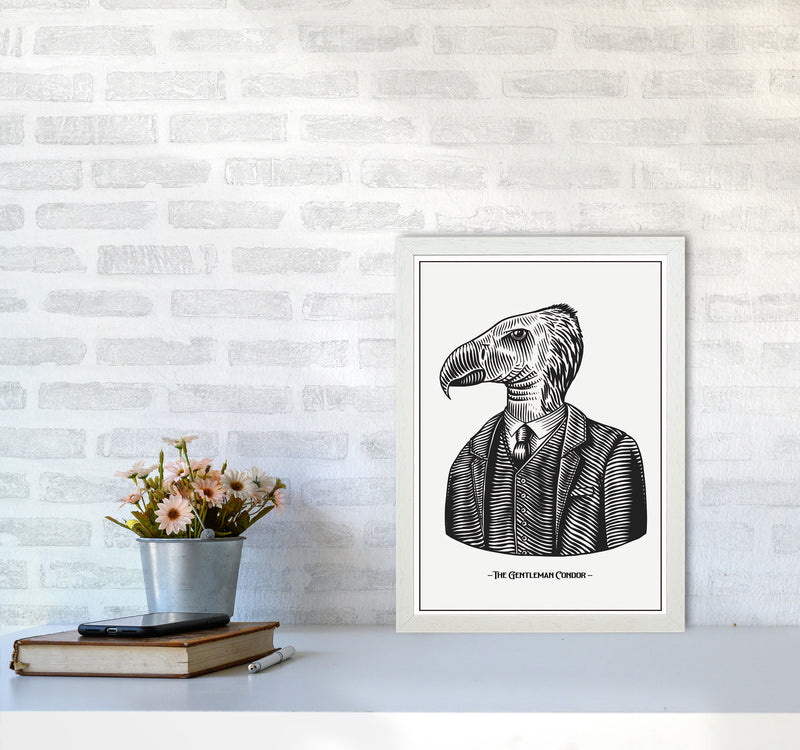 The Gentleman Condor Art Print by Jason Stanley A3 Oak Frame