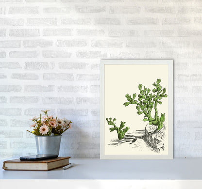 Prickly Pear Cactus Art Print by Jason Stanley A3 Oak Frame