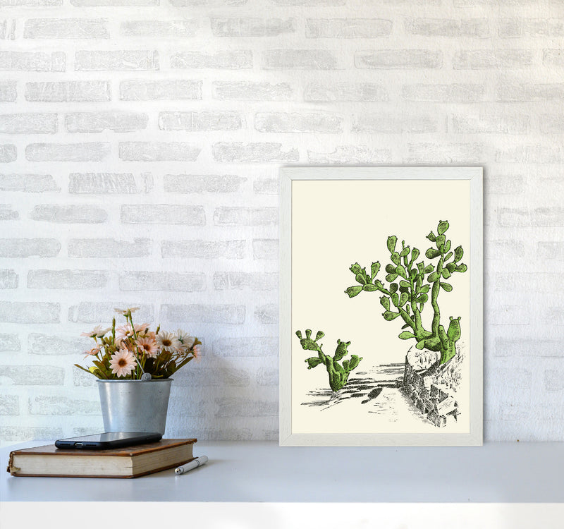 Prickly Pear Cactus Art Print by Jason Stanley A3 Oak Frame