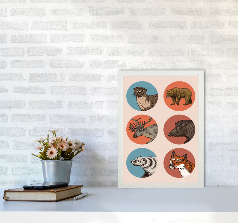 Animal Circles II Art Print by Jason Stanley A3 Oak Frame