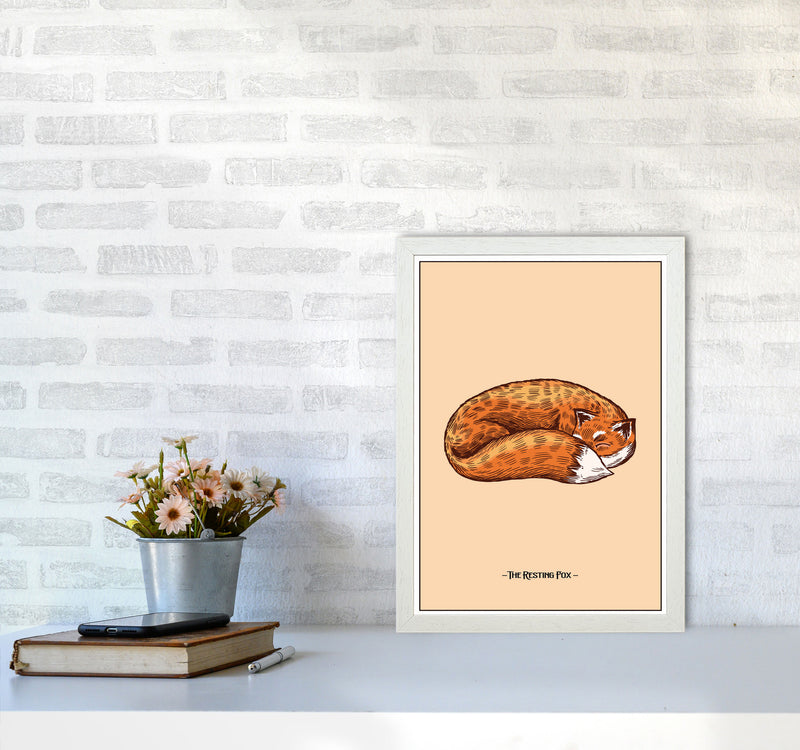 The Resting Fox Art Print by Jason Stanley A3 Oak Frame