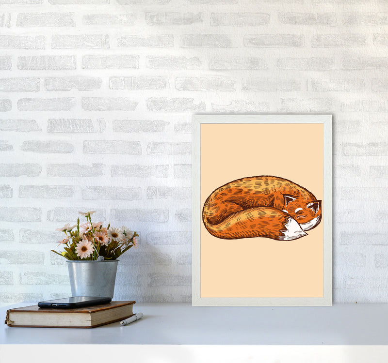 The Sleeping Fox Art Print by Jason Stanley A3 Oak Frame