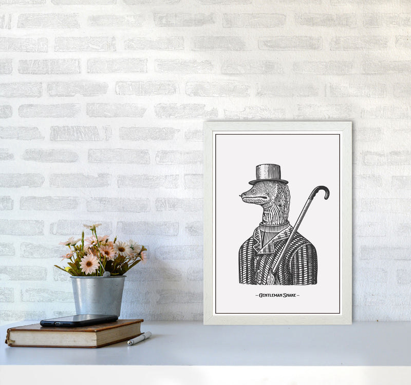 Gentlemen Snake Art Print by Jason Stanley A3 Oak Frame
