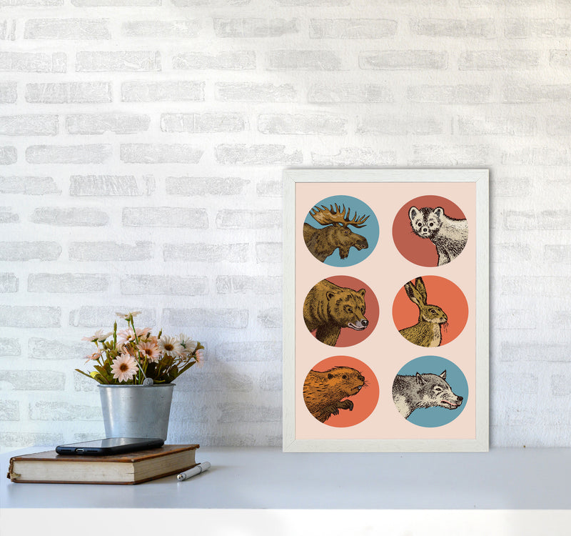 Animal Circles Art Print by Jason Stanley A3 Oak Frame