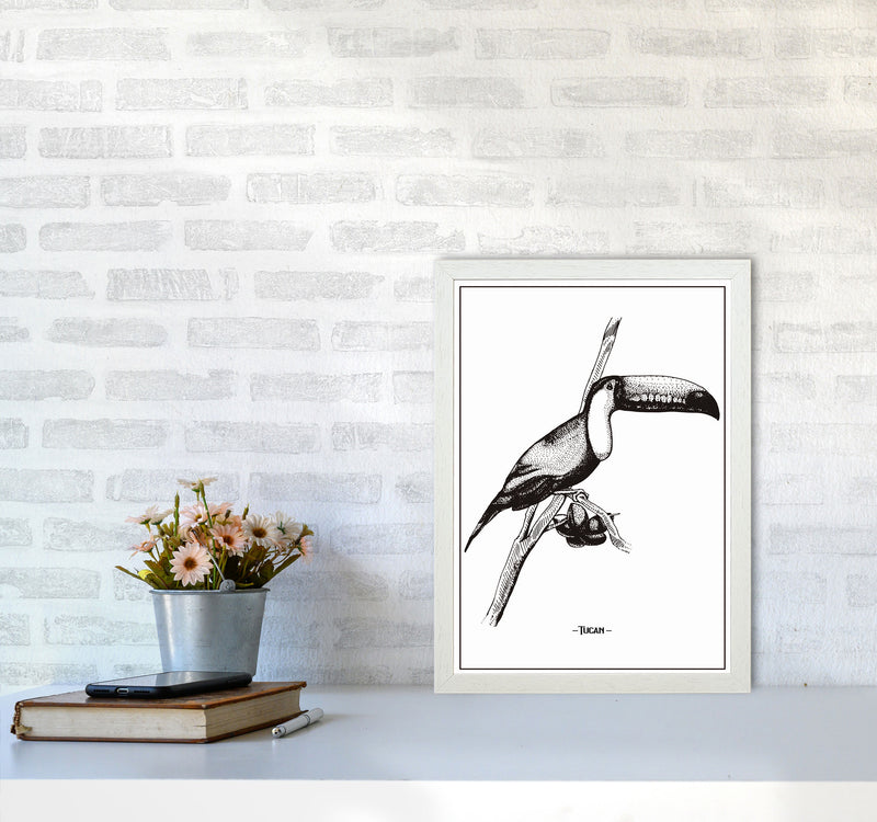 Tucan Art Print by Jason Stanley A3 Oak Frame
