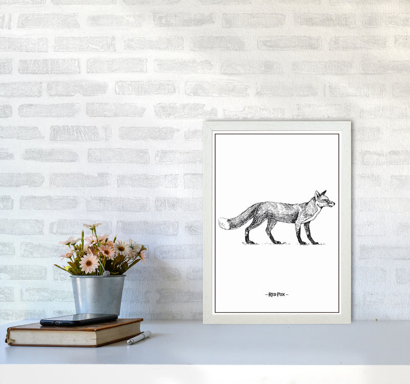 Red Fox Art Print by Jason Stanley A3 Oak Frame