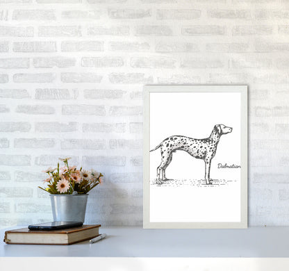Dalmation Art Print by Jason Stanley A3 Oak Frame