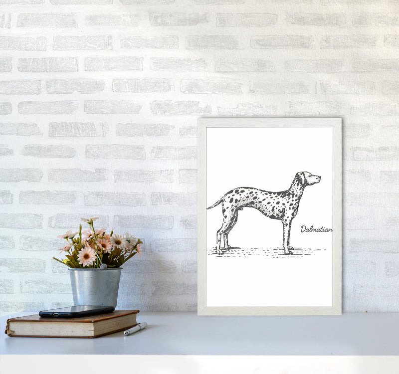 Dalmation Art Print by Jason Stanley A3 Oak Frame
