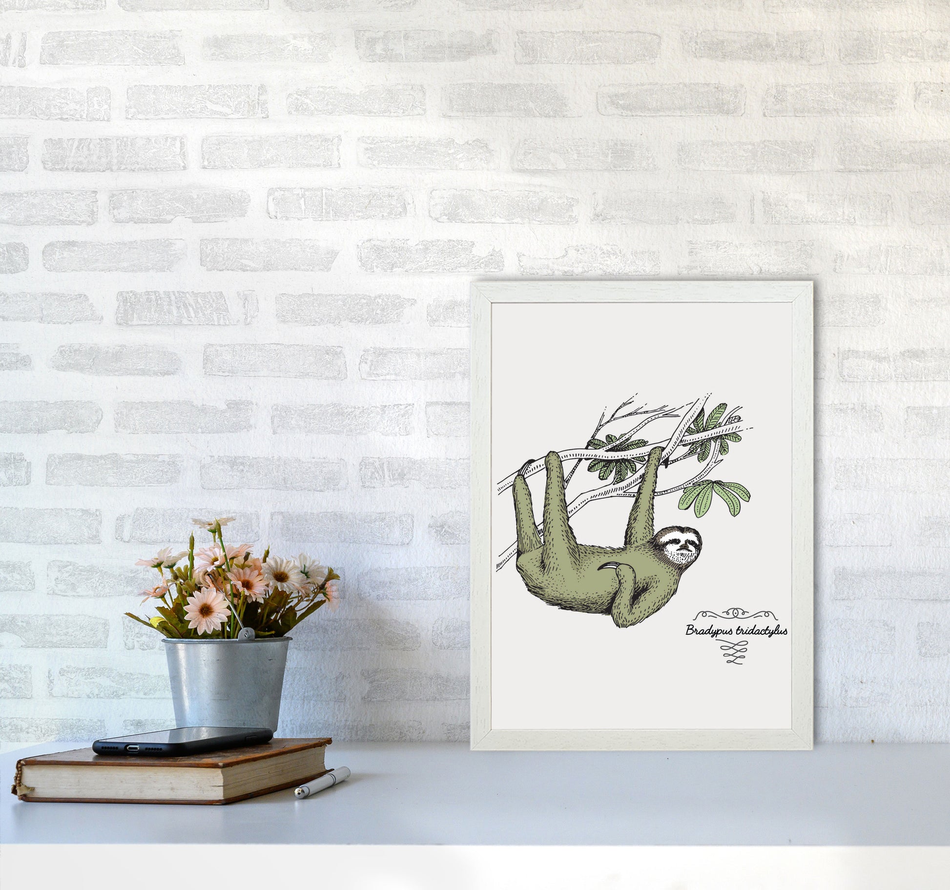 Sloth Art Print by Jason Stanley A3 Oak Frame