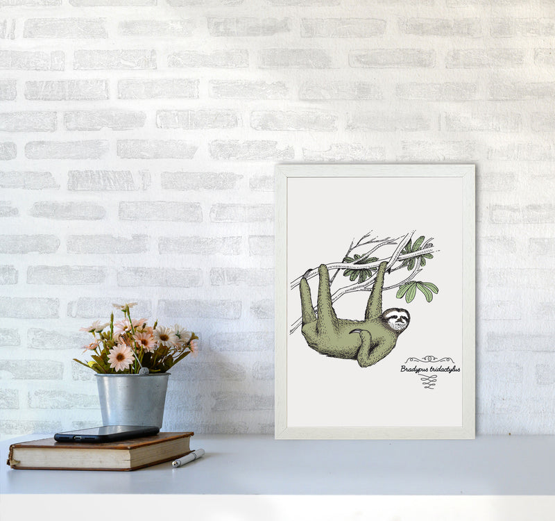 Sloth Art Print by Jason Stanley A3 Oak Frame