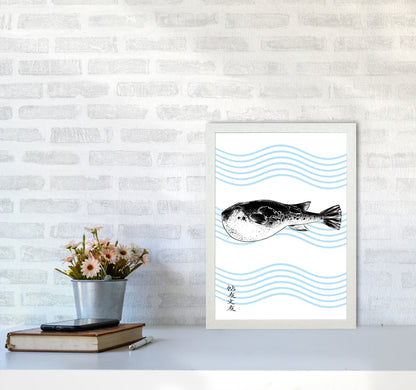 Fugu Art Print by Jason Stanley A3 Oak Frame
