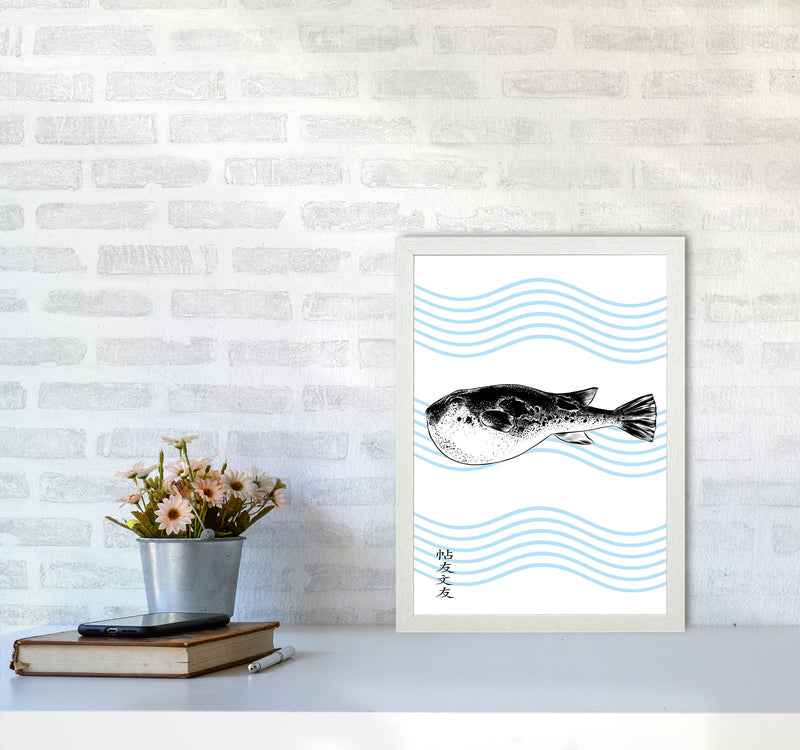 Fugu Art Print by Jason Stanley A3 Oak Frame