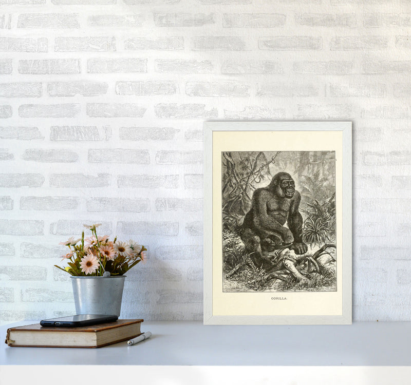 The Other King Of The Jungle Art Print by Jason Stanley A3 Oak Frame