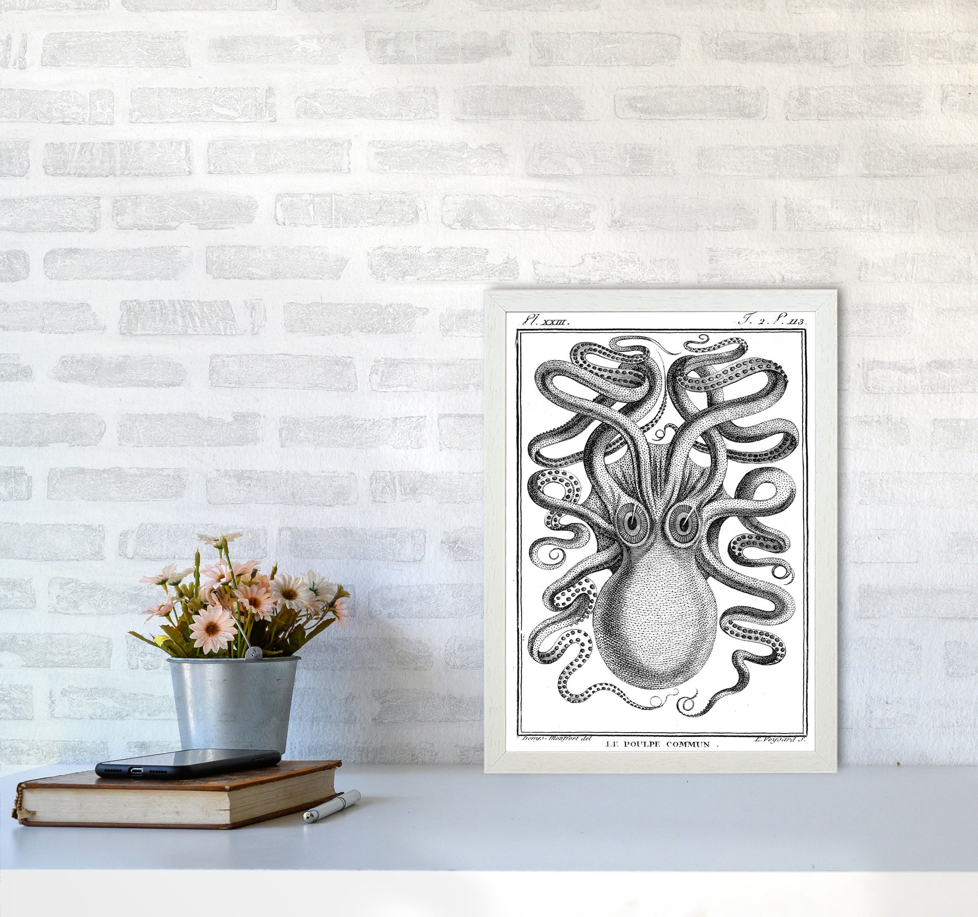 White Vintage Octopus Art Print by Jason Stanley A3 Oak Frame
