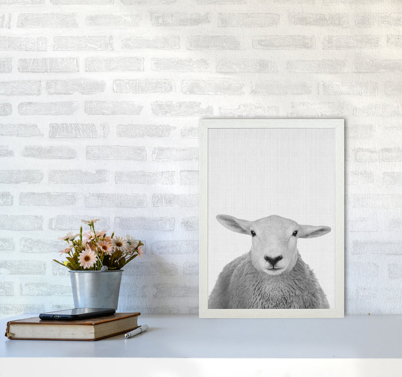 Trust This Wise Sheep Art Print by Jason Stanley A3 Oak Frame