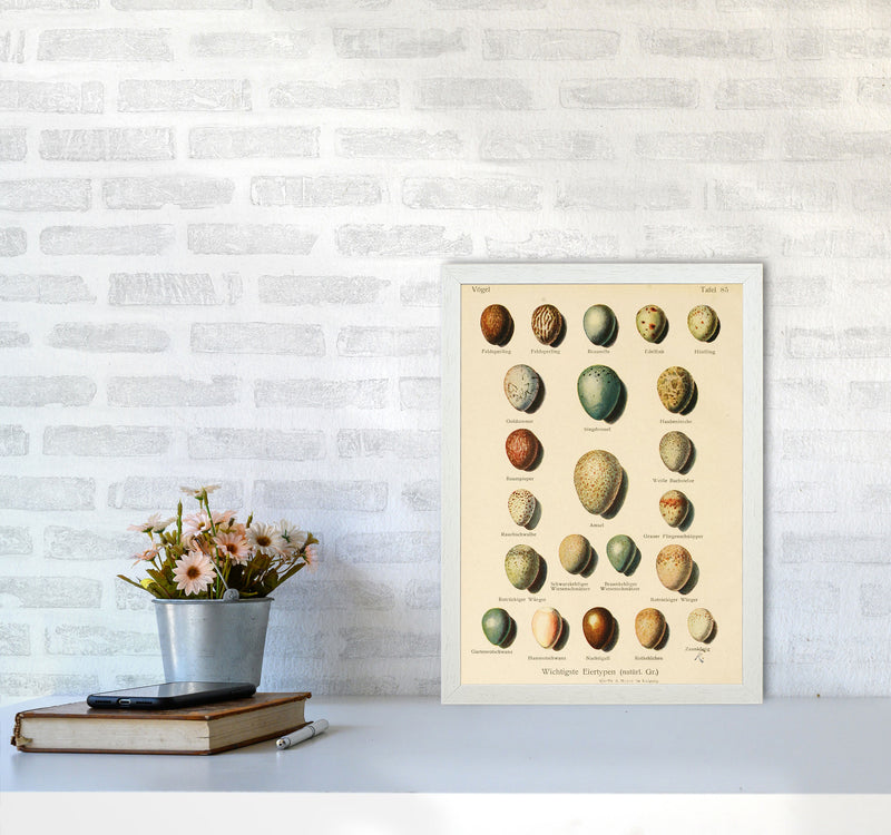 Vintage Set Of Eggs Art Print by Jason Stanley A3 Oak Frame