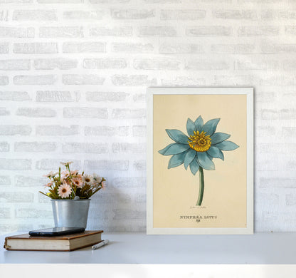 Vintage Lotus Flower Art Print by Jason Stanley A3 Oak Frame