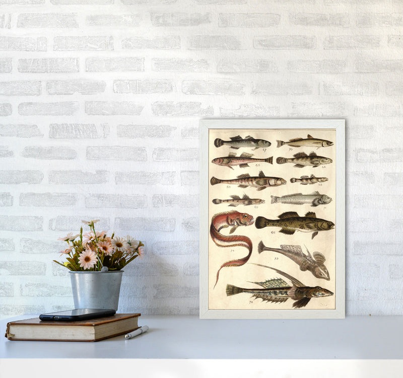 Creatures Of The Sea Art Print by Jason Stanley A3 Oak Frame