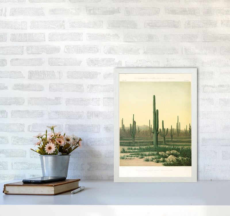 Vintage Desert Cactus Art Print by Jason Stanley A3 Oak Frame