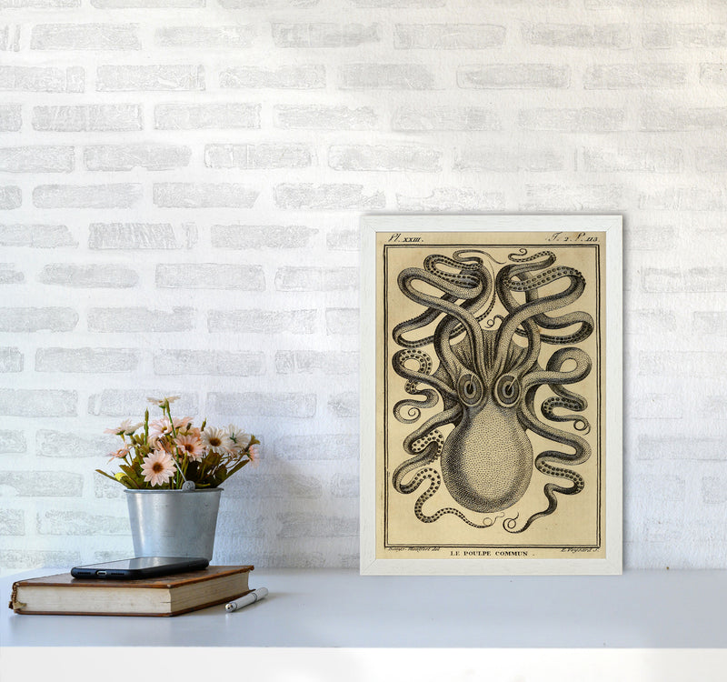 Vintage Octopus 2 Art Print by Jason Stanley A3 Oak Frame
