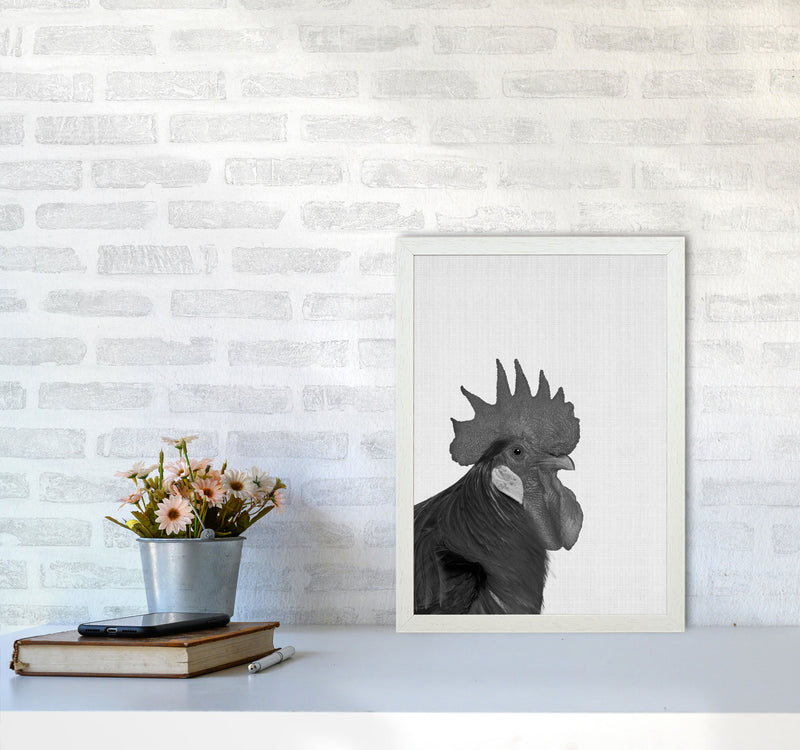 Cock A Doodle Doo Art Print by Jason Stanley A3 Oak Frame