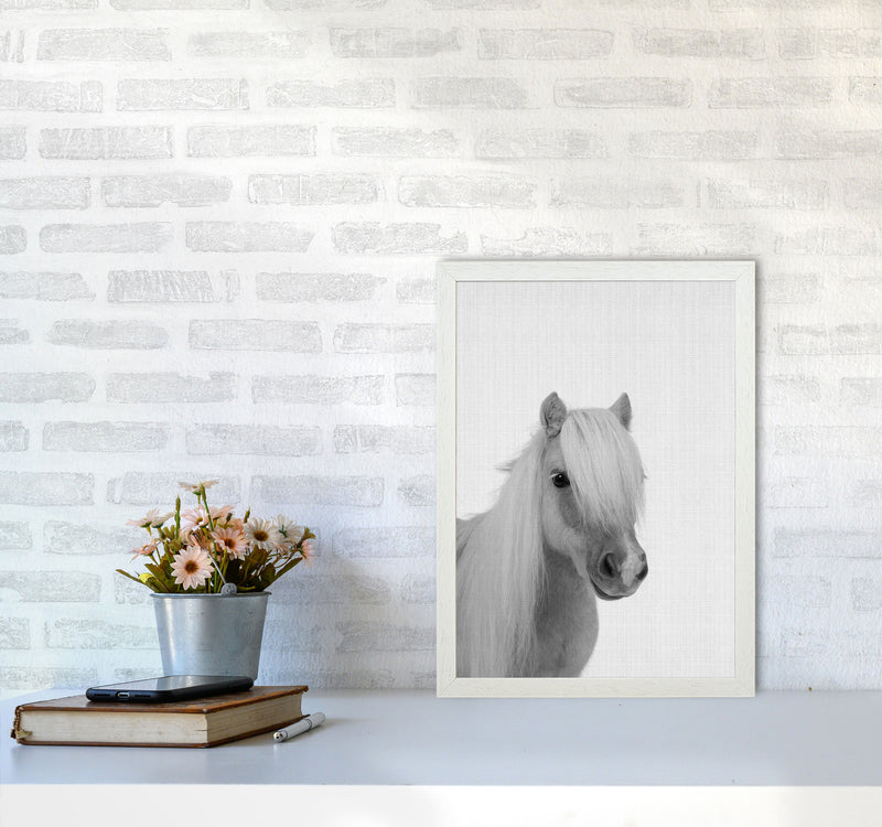 Stay Gold Pony Boy Art Print by Jason Stanley A3 Oak Frame
