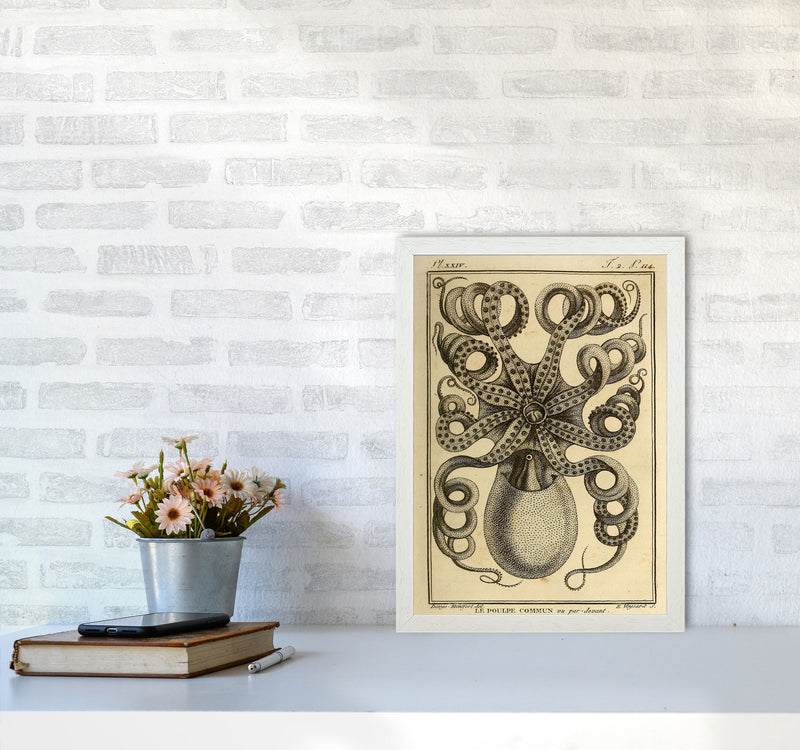 Vintage Octopus Art Print by Jason Stanley A3 Oak Frame