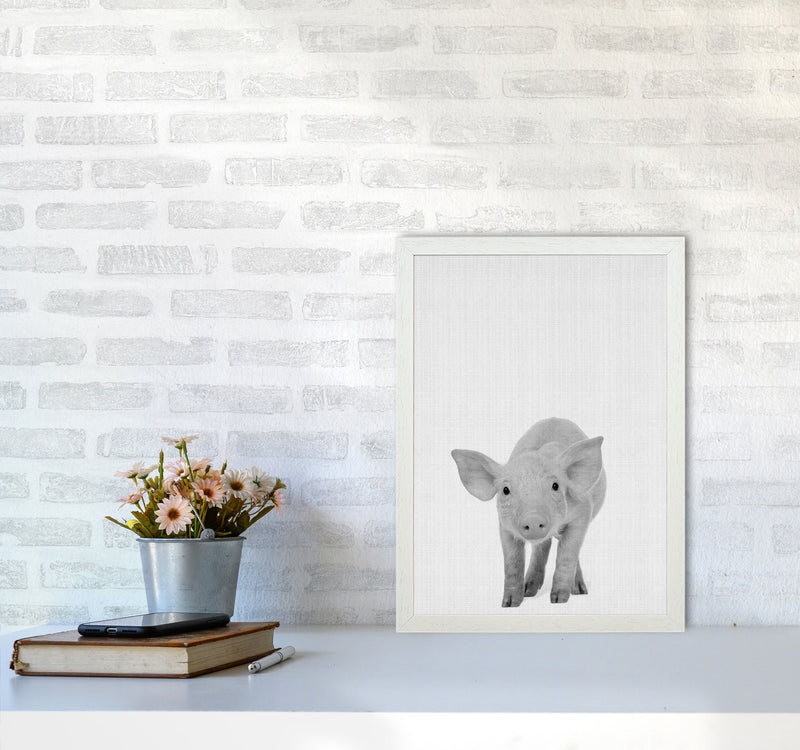 The Cutest Pig Art Print by Jason Stanley A3 Oak Frame