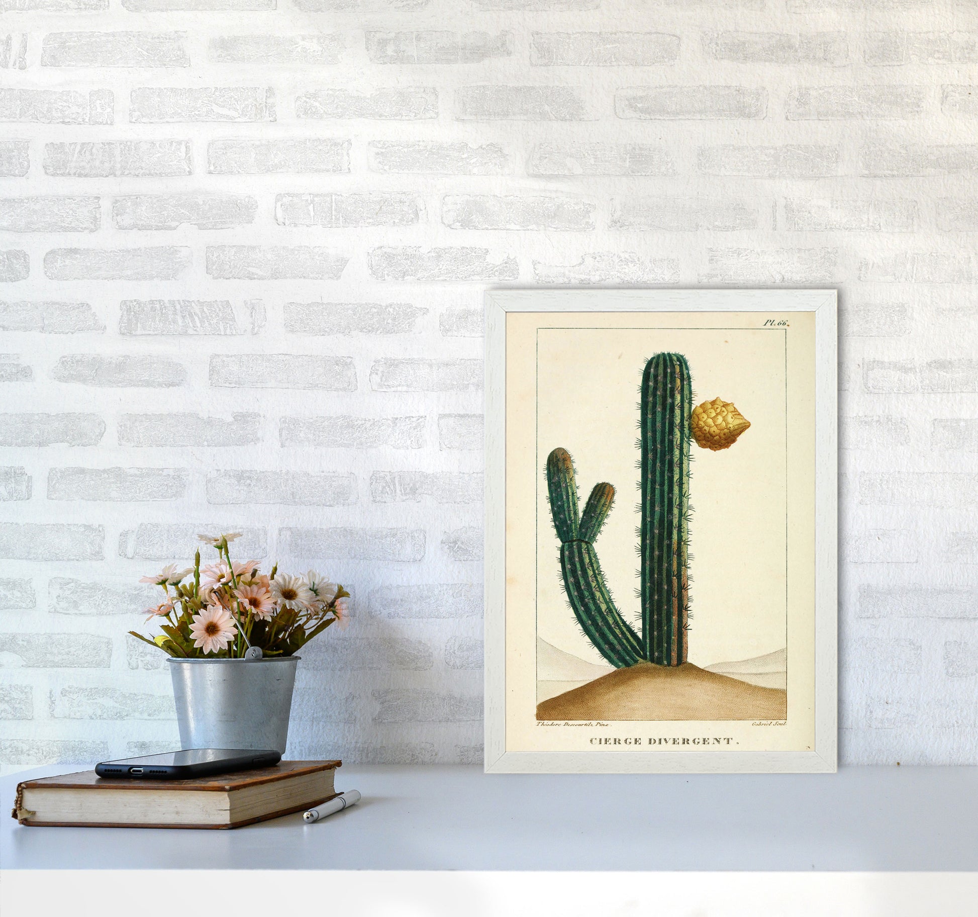 Vintage Cactus Art Print by Jason Stanley A3 Oak Frame